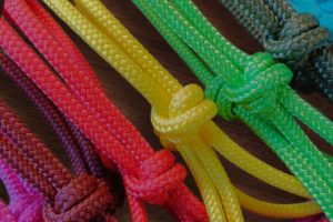 Knotenhalfter „Surprise“